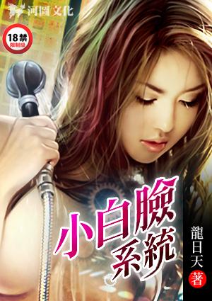 小白脸系统